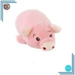 Doudou cochon mignon avec ses yeux