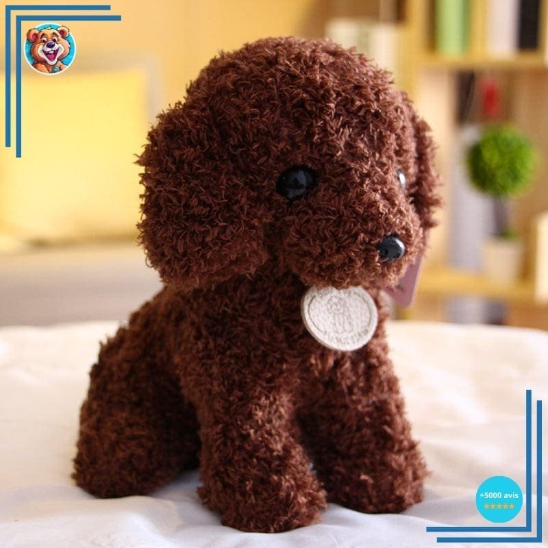 Chien Peluche Pourri : Offre spéciale – Image 3