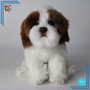 Chien Petit Peluche