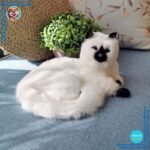 Peluche chat en poupée blanc