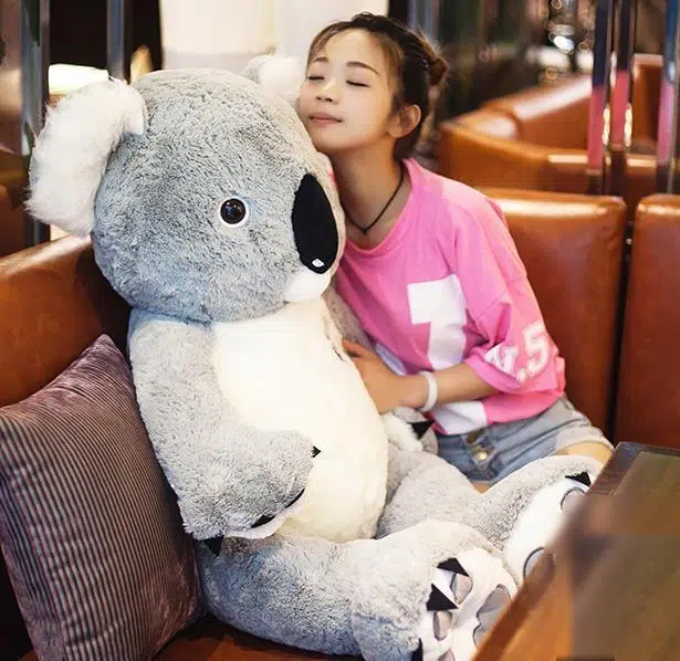 Peluche Koala géant – Image 2