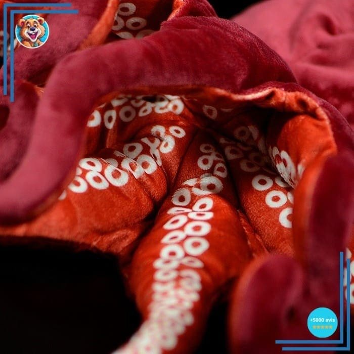 Peluche Pieuvre Tentacule – Image 2