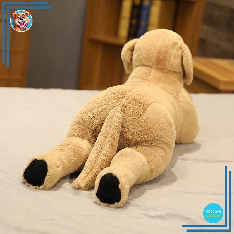 Peluche chien labrador doux – Image 4