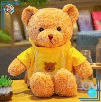 Ours en peluche avec pull