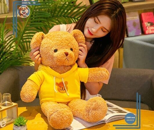 Ours en peluche avec pull – Image 2