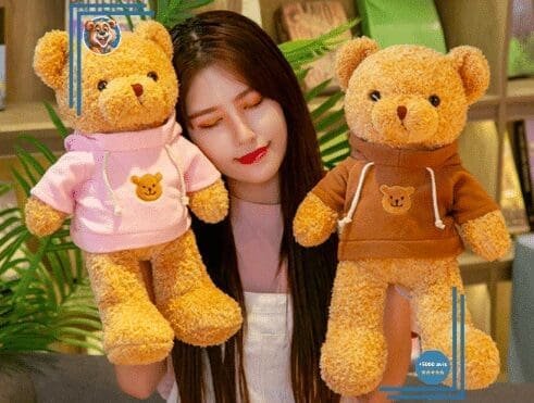Ours en peluche avec pull – Image 3