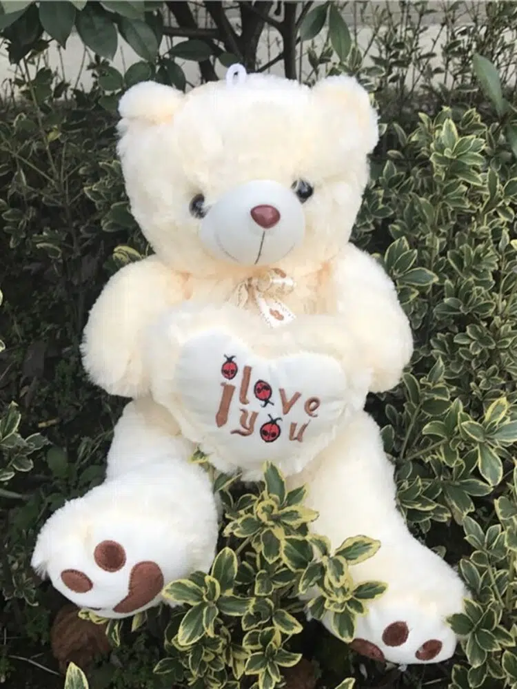 Ours en peluche poilu – Image 5