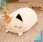 Peluche chat oreiller