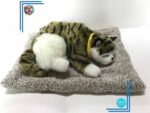 Peluche chat tigré vert endormi