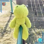 Peluche grenouille mignonne