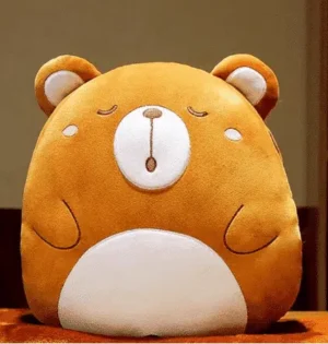 Peluche oreiller ours