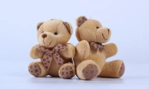 Peluche ours porte-clés marron