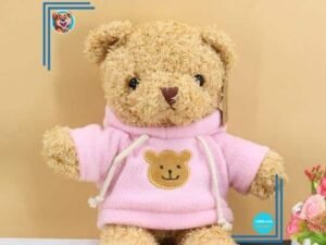 Peluche ourson pull rose