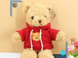 Peluche ourson pull rouge