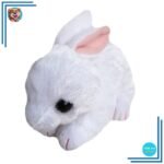Peluche Lapin Nain