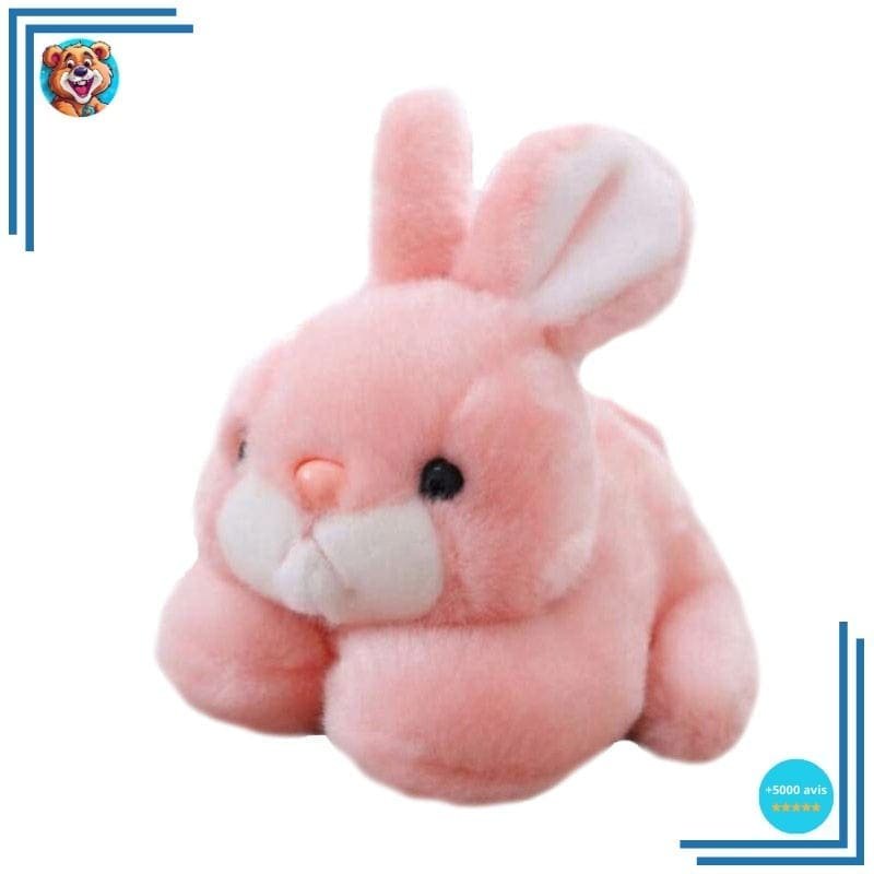 Peluche Lapin Kawaii