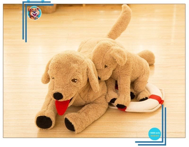 Peluche Chien Labrador – Image 3