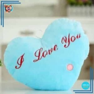 Peluche oreiller bleu I Love You