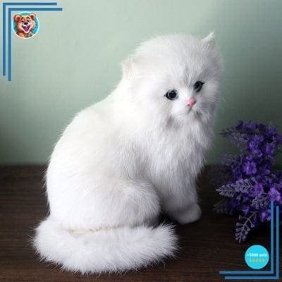 Peluche Chaton Persan Blanc – Image 2