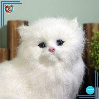 Peluche Chaton Persan Blanc – Image 3