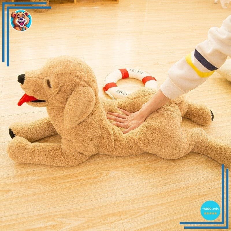 Peluche Chien Labrador – Image 2