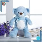 Nounours En Peluche
