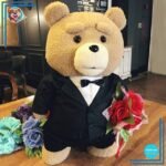 Nounours Habillé