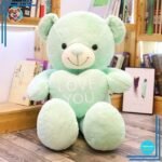 Nounours i Love You