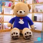 Nounours Lyon