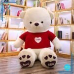 Ours en Peluche Blanc