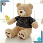 Ours en Peluche Paris