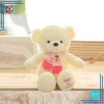 Ours en Peluche pour sa Copine