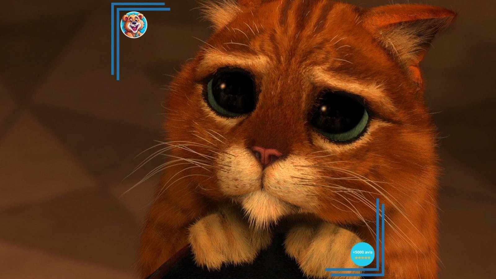 Peluche Chat Potté – Image 3
