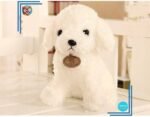 Peluche Chien Blanc Mignon