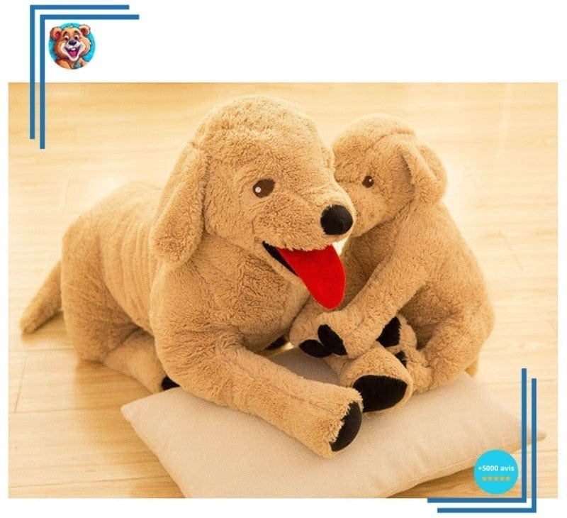 Peluche Chien Labrador – Image 5