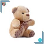 Peluche Ours Nounours