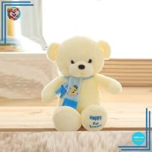 Petite Peluche Ours Blanc