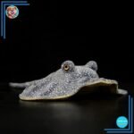 Poupée peluche raie des mers sympathique