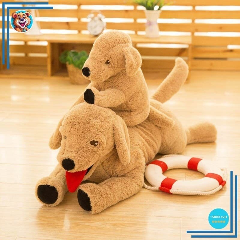 Peluche Chien Labrador – Image 4