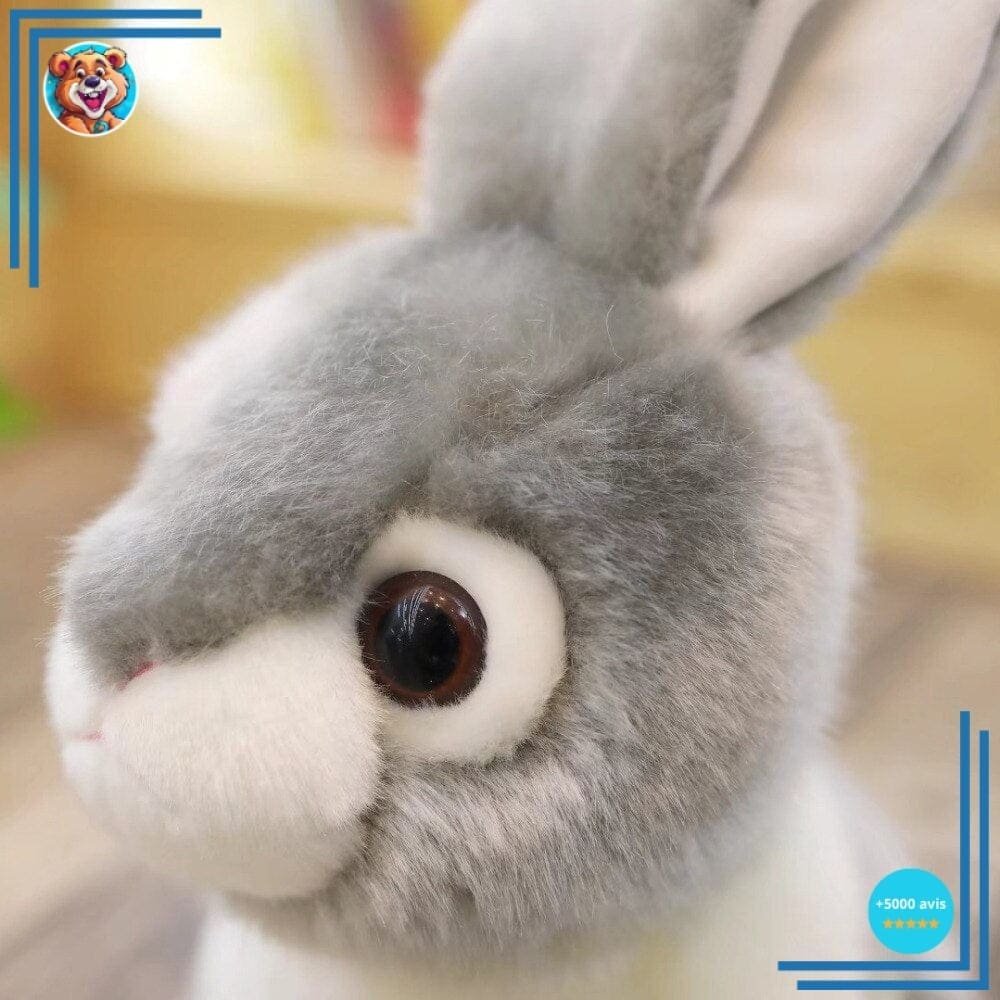 Peluche Lapin Gris et Blanc – Image 3