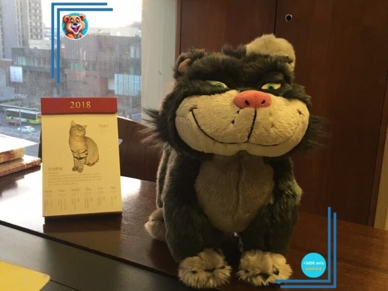 Peluche Chat Cendrillon – Image 3