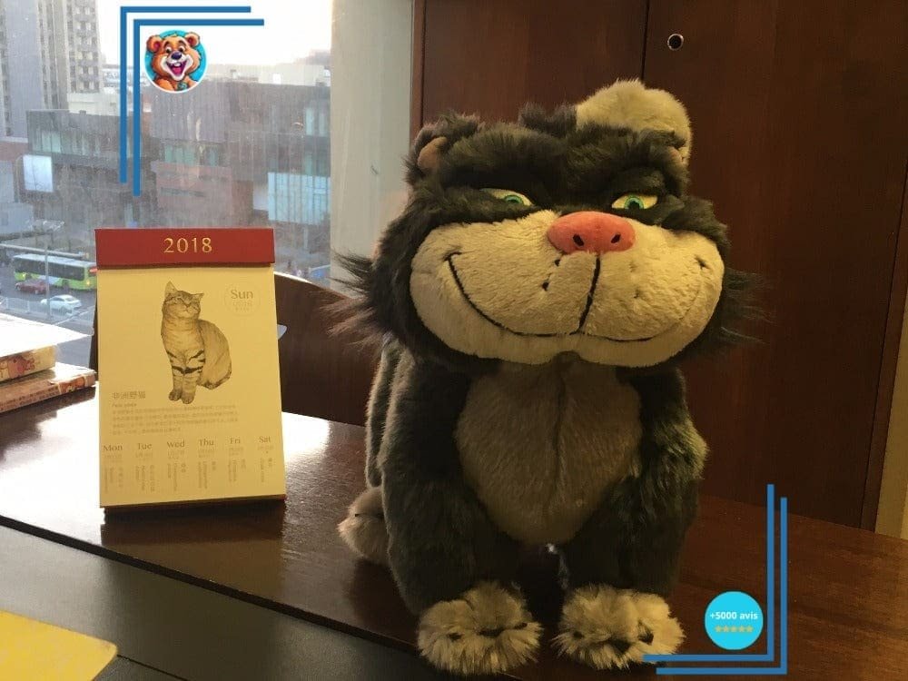 Peluche Chat Cendrillon – Image 3
