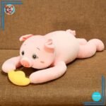 Peluche cochon fan de câlins