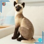 Jouet en peluche siamois ultra réaliste